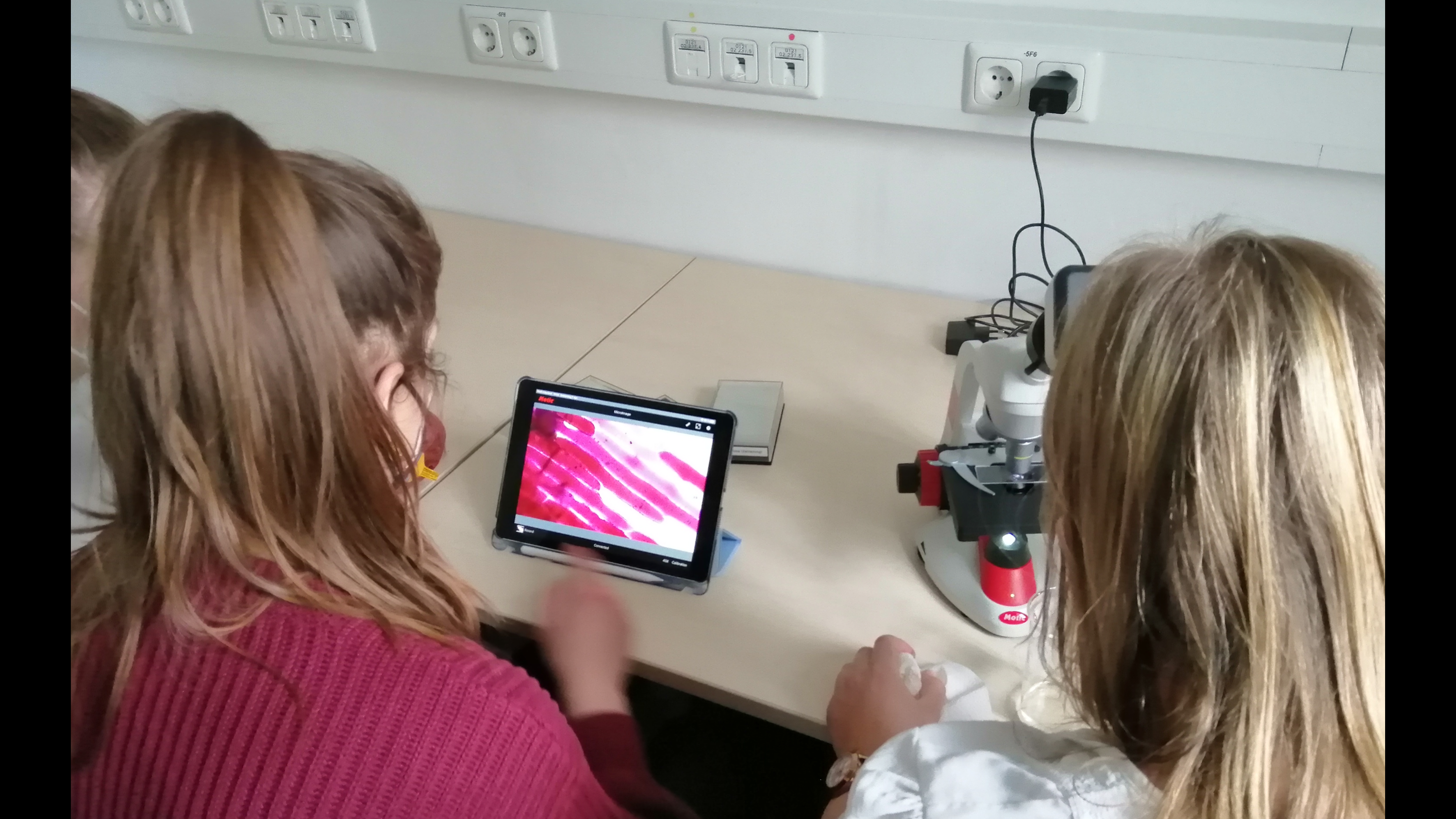Studentinnen führen ein klassisches Experiment zur Plasmolyse roter Zwiebelzellen mit der Mikroskopkamera durch.